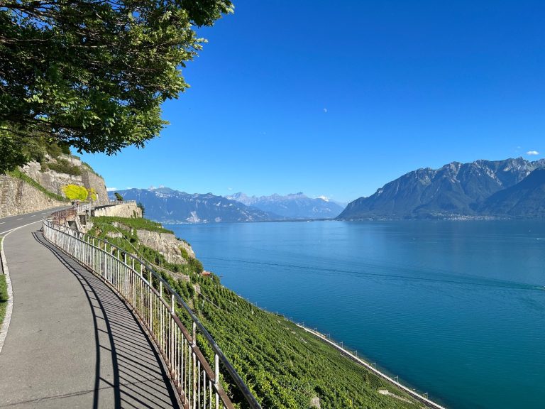 swiss alps bike tours